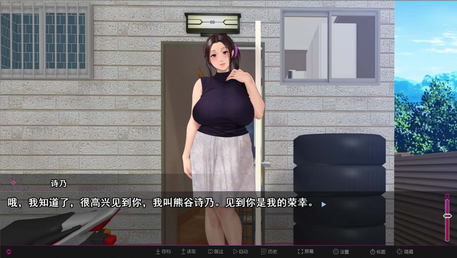 纯情房东撬房客 Afternoon Affairs & Helpless Housewives背景